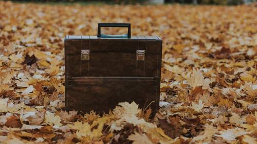 Aktentasche in Herbstlaub
